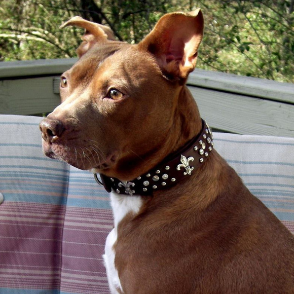 Meet Posher Terri's quality control team - Picture 1 of 5